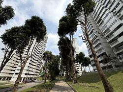 Braddell View (D20), Apartment #583935101